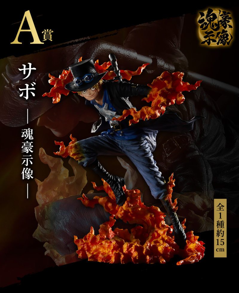 航海王蒐藏系列492